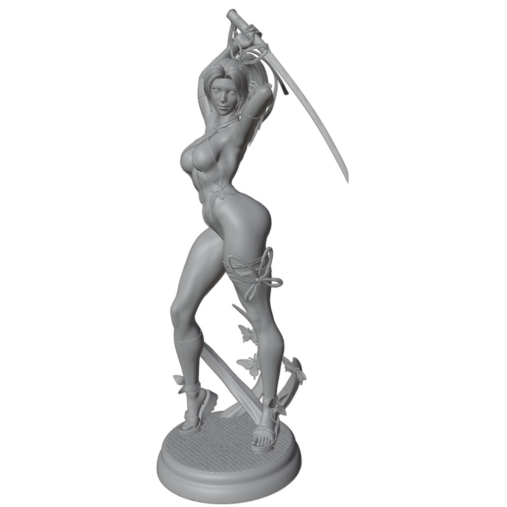 1/24 Mujer 	 Kits de modelos d - 3D Printing App reseña y precio